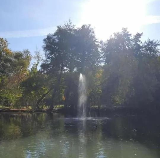 Tuender Roza Miskolc